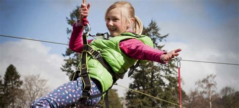 Treetop Trek at Brockhole | Brockhole