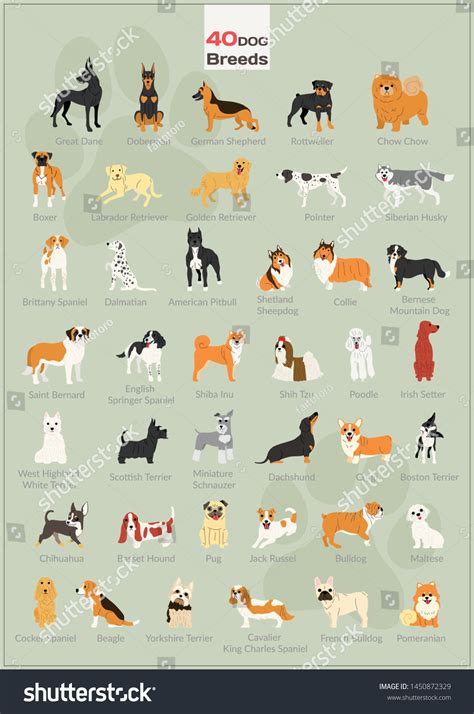 40 Dog Breeds Poster Design Stock Vector (Royalty Free) 1450872329 | Shutterstock