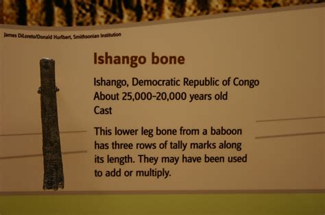 Ishango Bone, 25,000 to 20,000 years old | Taken at the Davi… | Flickr