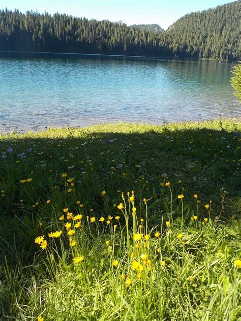 Mowich Lake Campground - Visit Rainier