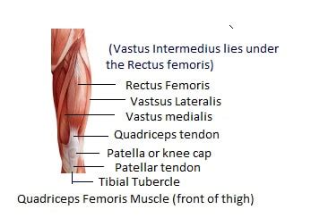 Quadriceps Stretch - StableMovement Physical Therapy