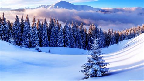 Ultra HD Winter Wallpapers - Top Free Ultra HD Winter Backgrounds ...