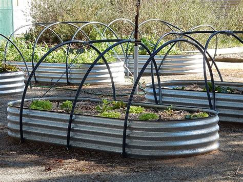 Raised Garden Beds in School Grounds | Michael Coghlan | Flickr