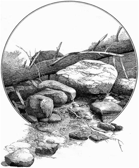 Pin by Skip Mahoney on Pen n Ink | Landscape pencil drawings, Realistic drawings, Landscape sketch