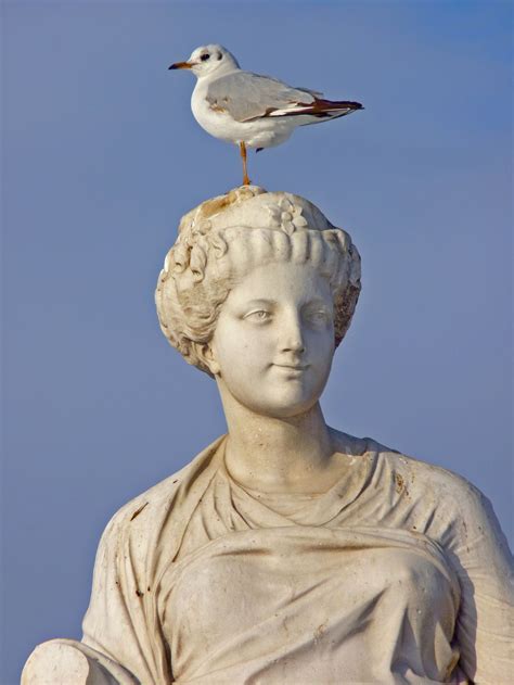 Tuileries Garden statue with companion | Smithsonian Photo Contest ...