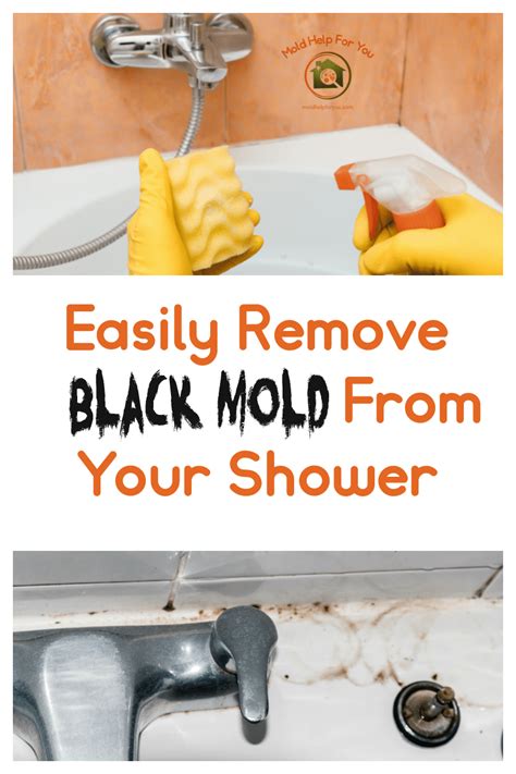 Black Mold In The Shower? Here’s How To Remove It! | Mold Help For You