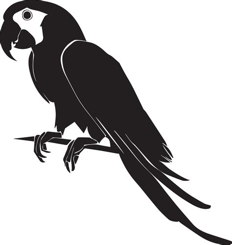 Parrot vector silhouette illustration 27687458 Vector Art at Vecteezy