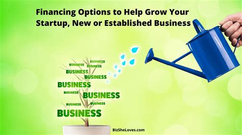 Business Financing Options For Startups, New and Established Small ...