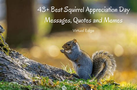 43+ Best Squirrel Appreciation Day Messages, Quotes and Memes | Virtual Edge