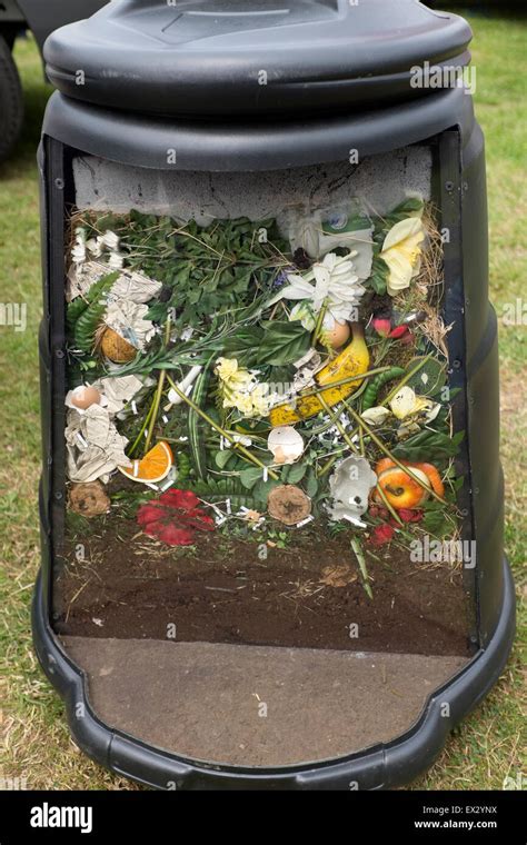 Cut away inside of Compost Bin Composting Recycle Stock Photo - Alamy