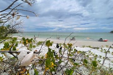 Clear Kayak Tour Shell Key Preserve | St. Petersburg, Florida