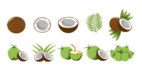 Coconut vector set collection graphic clipart design 23156842 Vector ...