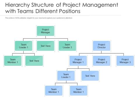 Hierarchy Structure Of Project Management With Teams Different ...