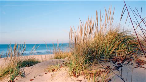 What Beaches to Visit along Lake Michigan - Arlen "Benny" Cenac Jr