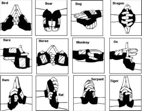 Pin by Touch of Lucius on 忍術 Ninjutsu | Naruto hand signs, Naruto, Martial arts