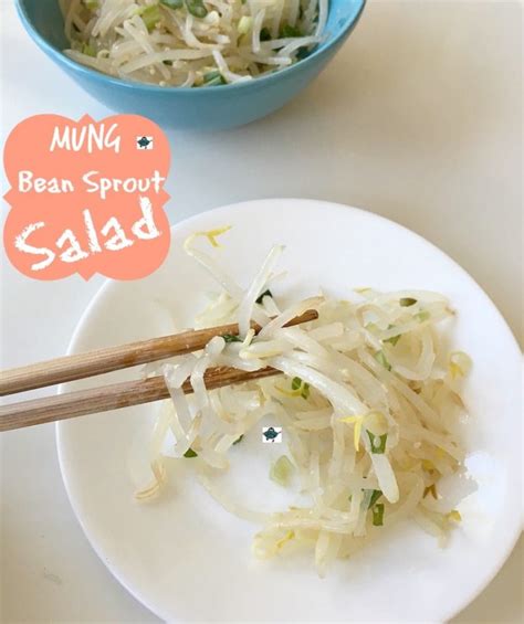 Mung Bean Sprouts Salad - HealingTomato.com