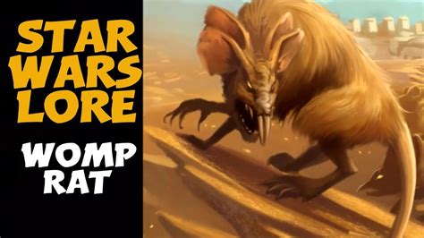 The Womp Rat, native to Tatooine and a Pest | Star Wars Animals - YouTube