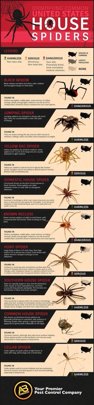 20 best Spider chart images on Pinterest | Spiders, Anchor charts and ...