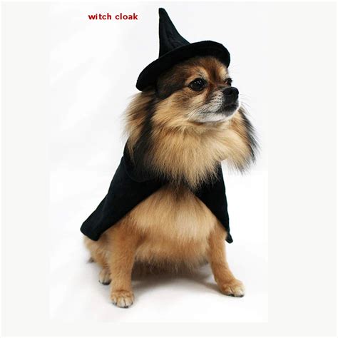 Halloween Cosplay witch Costumes dog Costumes witch hat dog witch cloak ...