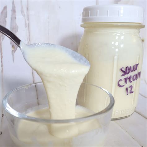 How to Make Sour Cream From Raw Milk - 1898 Mama