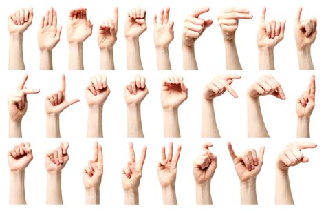 Найдены доказательства: источник человеческого языка - жесты рук, а не ворчание