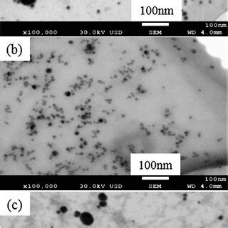 STEM images of copper nanoparticles produced from : (a) Class I copper ...