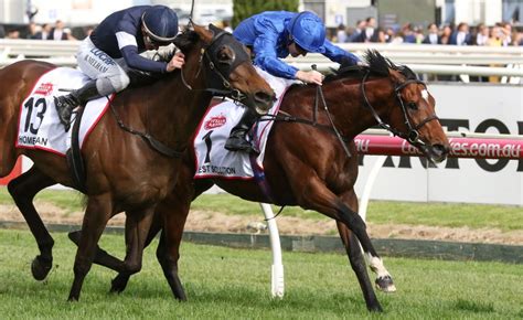 Caulfield Cup winner Best Solution retired to stud | Sports News Australia