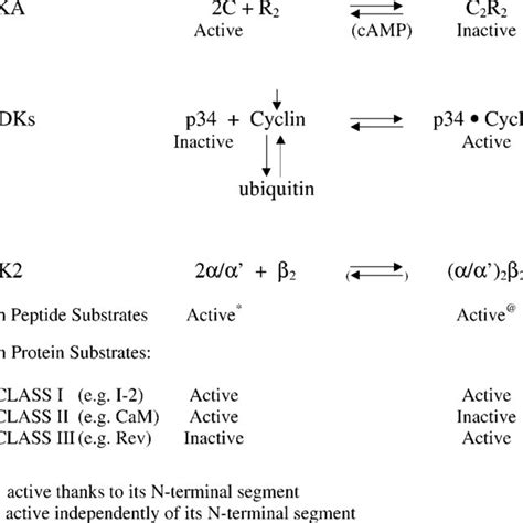 Influence of quaternary structure on the activity of three oligomeric... | Download Scientific ...