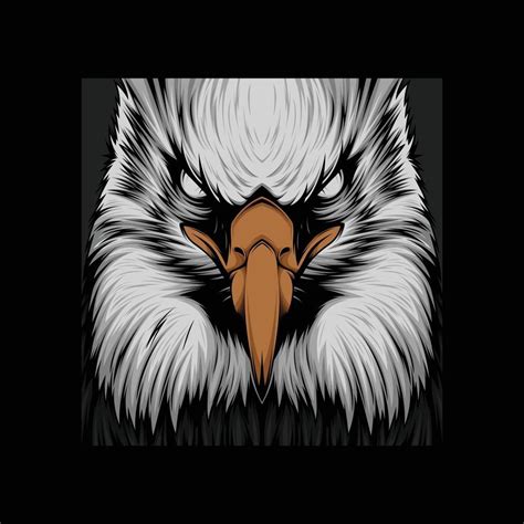 Angry eagle close up view vector artwork 3238690 Vector Art at Vecteezy