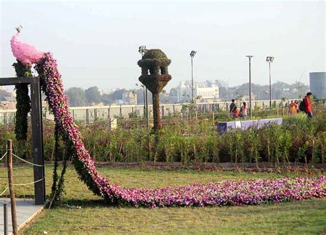 events in ahmedabad flower show flower show 2018 gujarat tourist guide ...