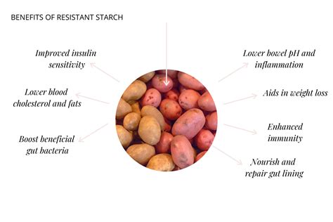 What Is Resistant Starch? (and Why Your Diet Needs More) | Prana Thrive