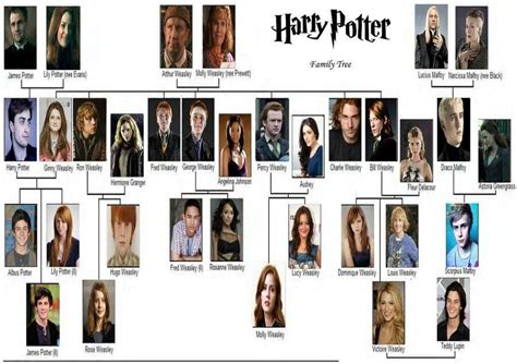 Family tree | Harry potter family tree, Harry potter characters names, Harry potter characters