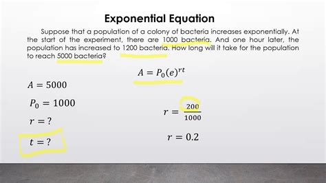 Exponential Function In Real Life