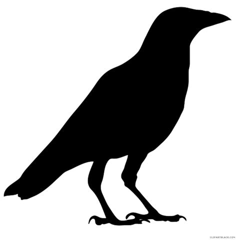 Crow clipart black and white, Crow black and white Transparent FREE for ...