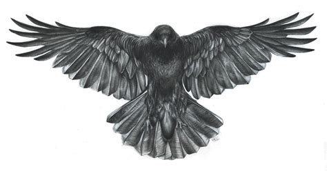 crow with wings spread | Crow tattoo, Crow tattoo design, Raven tattoo