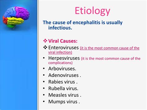 PPT - ENCEPHALITIS PowerPoint Presentation, free download - ID:1904707