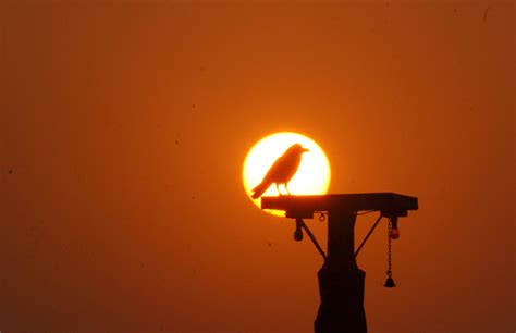 Setting Sun ,and....... silhouette - India Travel Forum | IndiaMike.com