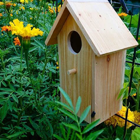 Bird Nesting Box- Small | The Seed Collection