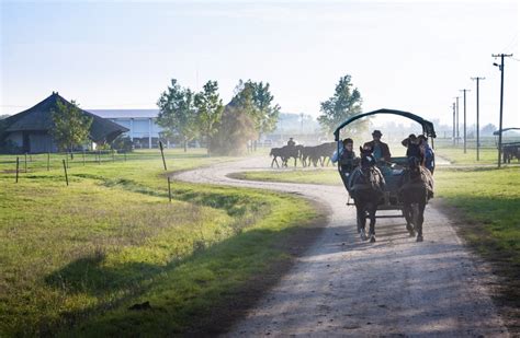 Parco Nazionale di Hortobagy: giro in carrozza. Viaggio in Ungheria ...