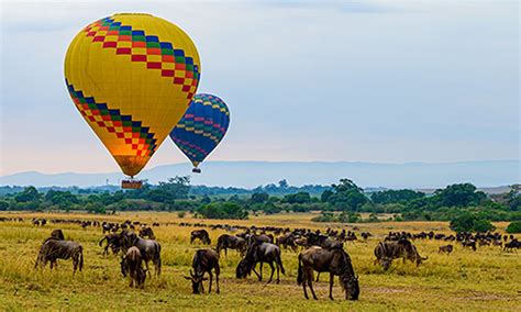 Kenya Wildlife Safari: Mount Kenya, Maasai Mara & Amboseli | EF Go Ahead Tours