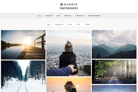 20+ Best Photography Responsive WordPress Themes 2024