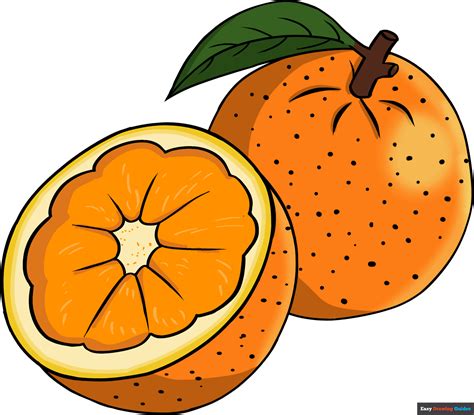 Orange Fruit Drawing