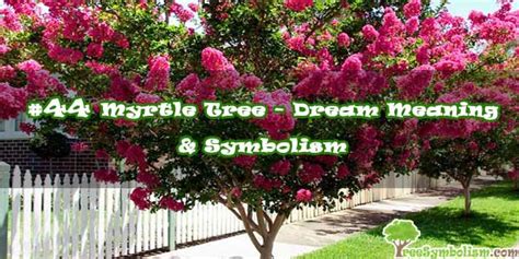 #44 Myrtle Tree – Dream Meaning & Symbolism