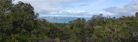 Rangitoto Summit Loop and Lava Caves: 459 Fotos - Auckland, Neuseeland ...