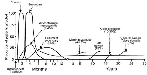 Stages of syphilis | University of Cape Town