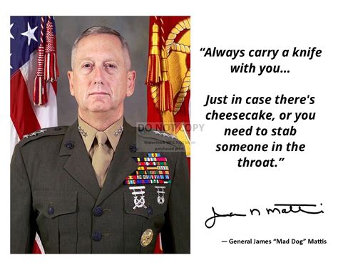 11X14 PHOTO -GENERAL JAMES "MAD DOG" MATTIS QUOTE w/ FACSIMILE ...