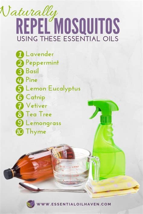 Spray Essential Oil Recipes at Melody Barrios blog