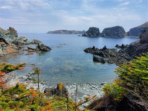 Rockcut Twillingate Trails - Horney Head Cove Hiking Trail ...