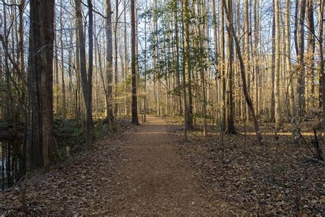 Hiking In North Alabama: 7 Great Trails to Enjoy - usatales.com