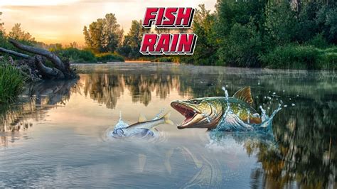 Fish rain | Play Free Games Online